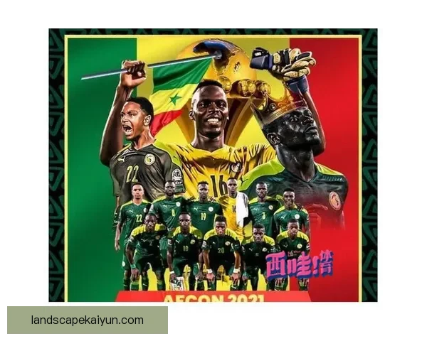 哈兰德非洲血统背景引发关注，展现多元文化魅力